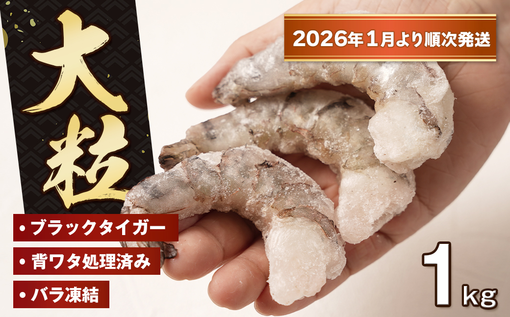 至福の大粒むきえび　背ワタ処理済 1kg【2026年1月より順次発送】　　[むきえび 冷凍 ムキエビ ブラックタイガー 大型 むきえび]