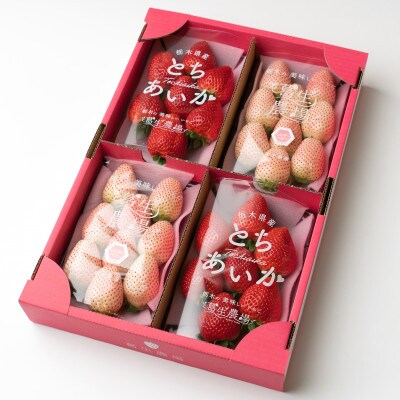 紅白イチゴ(とちあいか、ミルキーベリー)大粒 詰め合わせ(300g×4パック)【配送不可地域：離島】
