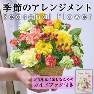 ふるさと納税 門川町 季節のお楽しみフラワーアレンジメント (生花:Sサイズ)