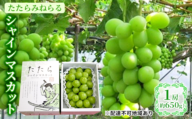 【2025年先行予約】 ぶどう 岡山県産 たたらみねらる シャインマスカット 1房(約650g) 《2025年8月下旬-10月下旬頃出荷》 葡萄 ブドウ フルーツ 果物 スイーツ 数量限定 期間限定 岡山 里庄町