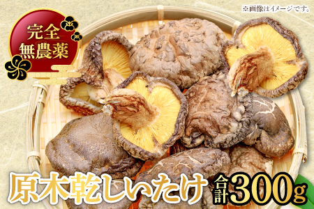 A-91 くぬぎ原木　乾しいたけ