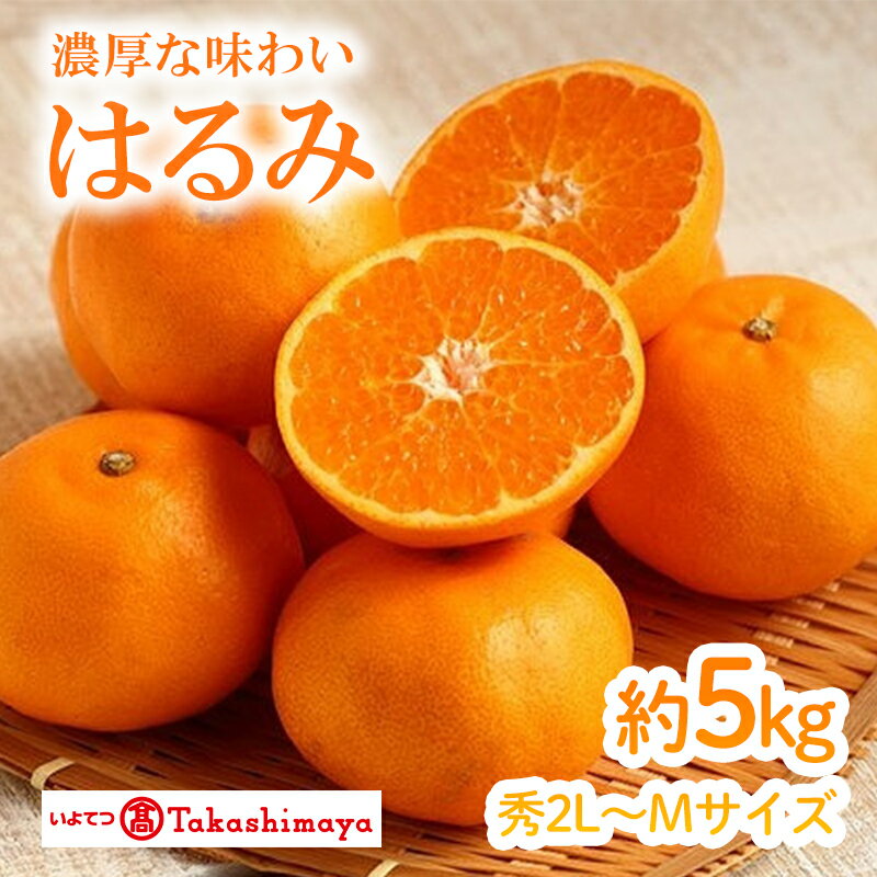 【ふるさと納税】 【2026年2月上旬から発送】はるみ（JAえひめ中央）約5kg　秀2L～Mサイズ