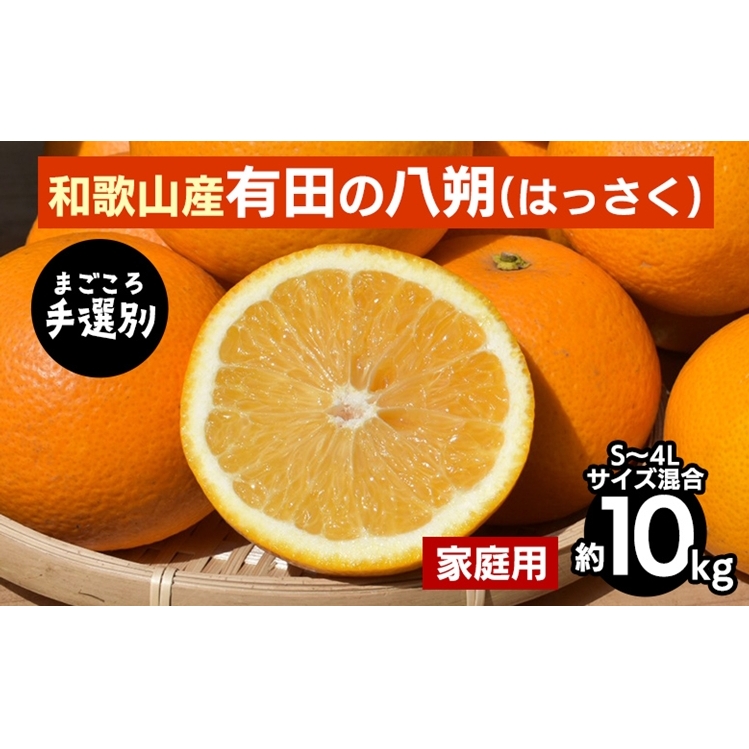【先行予約】 有田の八朔（はっさく） 家庭用 約10kg S～4L サイズ混合 和歌山県産
