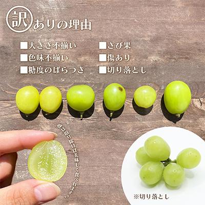 ふるさと納税 笛吹市 【発送月固定定期便】訳あり美味しい果物  小玉桃 粒シャインマスカット全2回 |  | 01