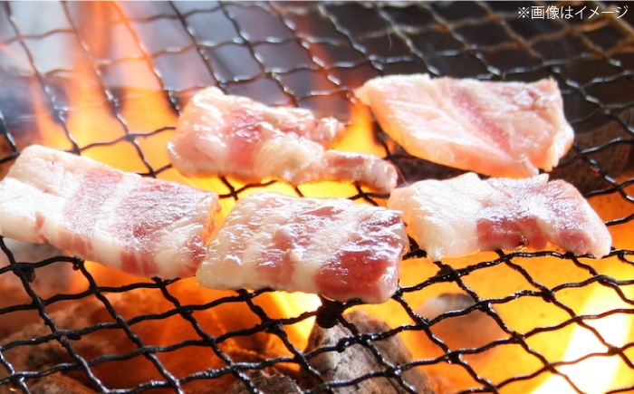 「瀬戸のもち豚せと姫」焼肉セット約700g