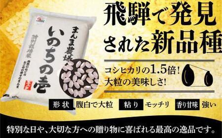 【令和7年度産 新米】飛騨いのちの壱 5kg 特別栽培米 | 金賞受賞農家 品種別金賞 日本一 ４度受賞 飛騨 まんま農場 LT003VC13
