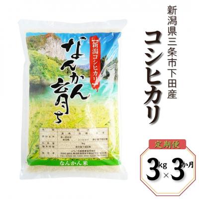 ふるさと納税 三条市 先行受付 [定期便3kg×3ヶ月] コシヒカリ 令和8年産米 新潟県三条市 【013S007】