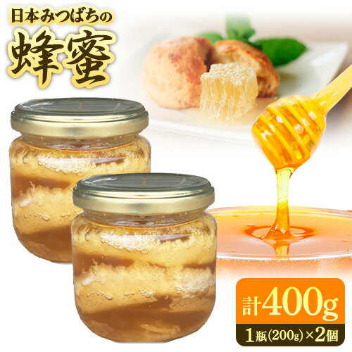 【ふるさと納税】日本みつばちの蜂蜜 200g×2個 計400g 美馬工房 《30日以内に出荷予定(土日祝除く)》 ハチミツ はちみつ 自然採取 2瓶 国産 徳島県 美馬市
