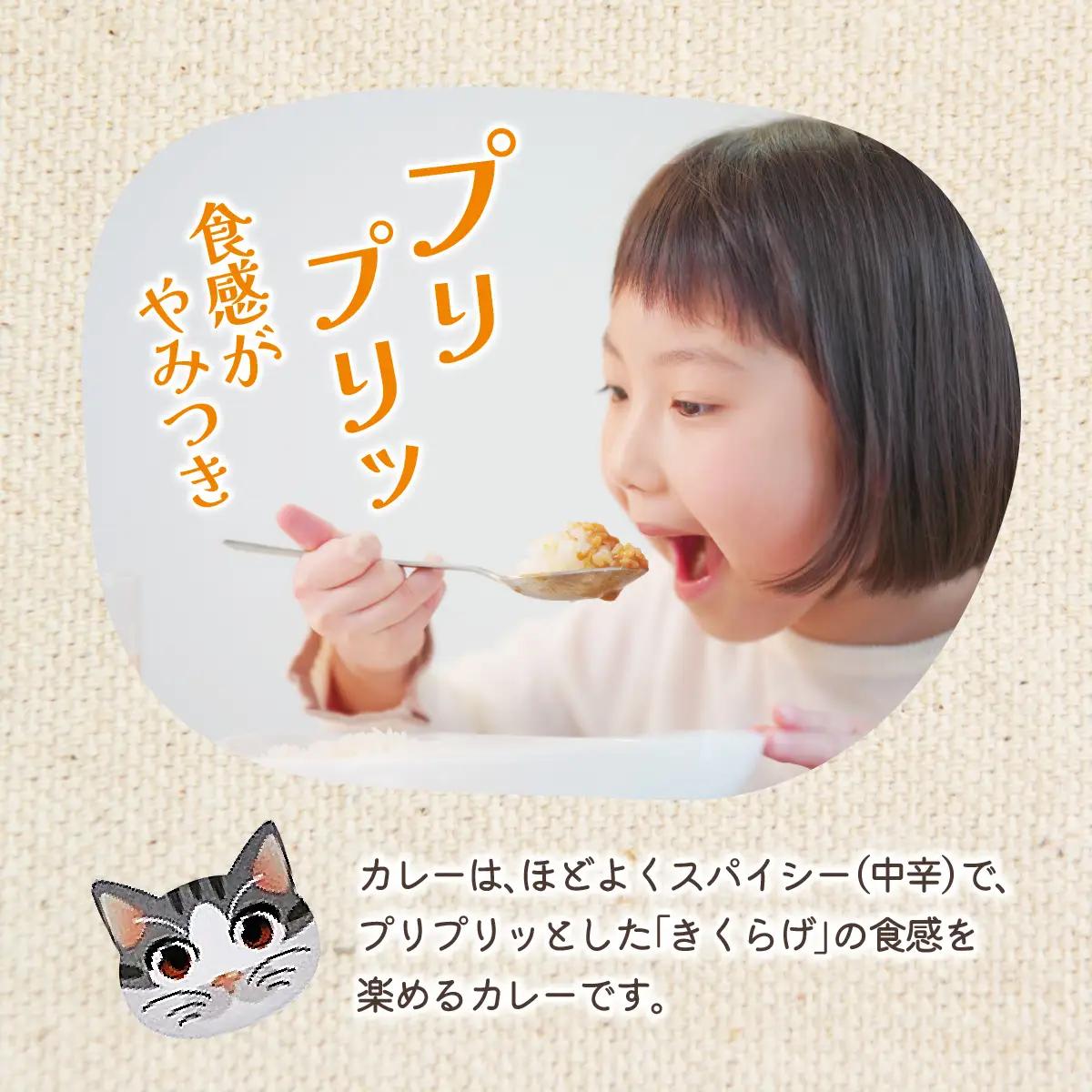 灰猫のきくらげカレー　１セット／１８０g５袋／レトルトカレー サンシャイン池崎 ねこ ネコ 保護猫