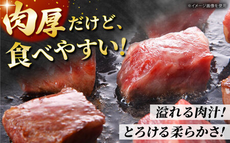 佐賀牛 ヒレ サイコロステーキ600g HBH139 ステーキ ヒレ 佐賀牛