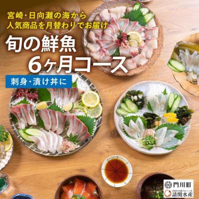 ふるさと納税 門川町 【毎月定期便】旬の鮮魚6ヶ月コース(門川町)全6回