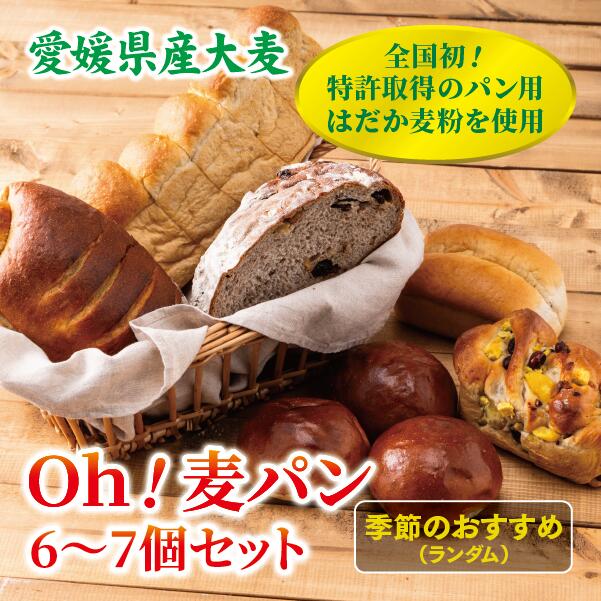 【ふるさと納税】パン 無添加 老舗 6～7個セット ブレッド おまかせ ランダム 詰め合わせ ブランド認定 学校給食 朝食 朝ごはん 季節 おすすめ はだか麦 国産小麦 国産素材 おやつ こだわり 食物繊維豊富 安心 安全 篠崎ベーカリー 愛媛 伊予市 ｜B67