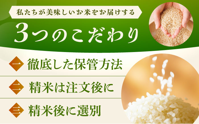 【令和7年産】【10kg×3回定期便】さがびより 計30kg（5kg×2袋） 吉野ヶ里町/増田米穀 お米 [FBM006]