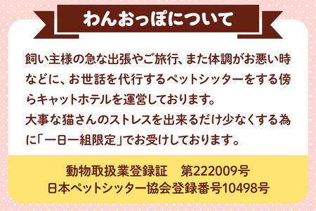【寄附金額見直しました】ペット ホテル【一日一組限定】キャットホテル 宿泊券 1泊 【レターパックライト】