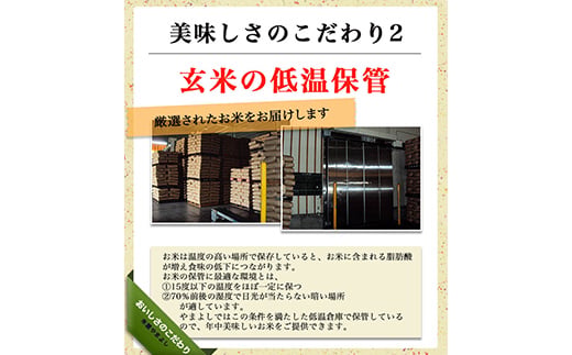 【6か月定期便】令和7年産 福島県須賀川産 ミルキークイーン 白米 10kg(5kg×2袋) 全6回 米 お米 コメ ごはん ご飯 F7X-0614