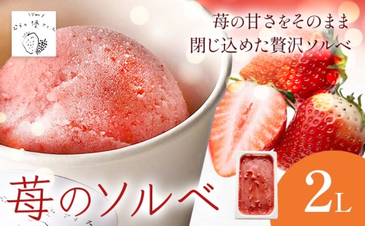苺のソルベ 2L 《30日以内に出荷予定(土日祝除く)》 flower shop 優花 徳島県 佐那河内村 アイス デザート むらの優アイス いちご ベリー