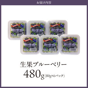 福岡県産 ブルーベリー生果 480g_福岡県産 生果 ブルーベリー 80g × 6パック 計 480g 耳納連山 麓 筑後川 恵み 国産 果物 フルーツ 新鮮 冷蔵 冷凍保存可 デザート グルメ お取