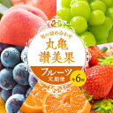 【ふるさと納税】フルーツ 定期便 6ヶ月 丸亀讃美果 セット 詰め合わせ 桃 シャインマスカット いちご ピオーネ みかん キウイ キウイフルーツ 清見オレンジ 旬の果物 旬のフルーツ 果物 くだもの 6回 半年 お楽しみ 香川　定期便・ 丸亀市