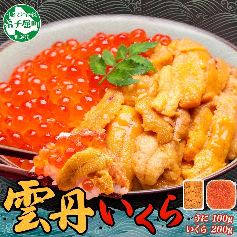 3590.  うに 100g いくら醤油漬け 200g ウニ チリ産 冷凍 いくら 二色丼 雲丹 イクラ 海鮮 海鮮丼 うに丼 送料無料 北海道 弟子屈町