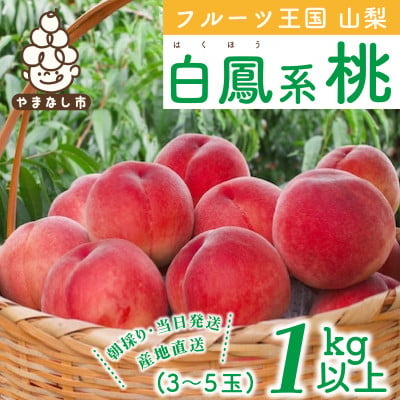 
            2025年先行受付 山梨県産 桃 白鳳系 1kg以上(3～5玉) フルーツ王国・山梨から産地直送【1137259】
          