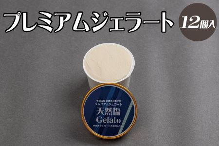 プレミアムジェラート 天然塩12個セット アイスクリームセット 100mlカップ ゆあさジェラートラボラトリー【ntbt700-04】