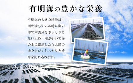 訳あり　有明海産 焼き海苔 2切10枚×10袋（100枚分）【福岡有明のり】|焼き海苔 有明海苔 SWE