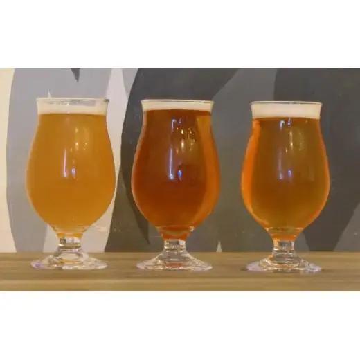 【松戸ビール】旬の地ビール 3本セット