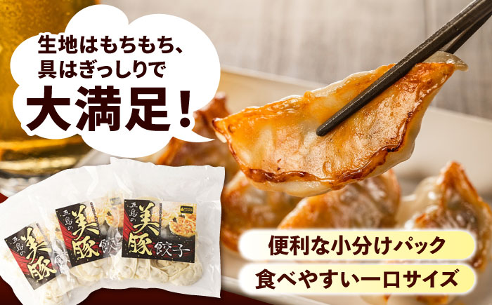 【全3回定期便】美豚餃子15個入×5袋セット 五島市/長崎フードサービス  [PEL006]
