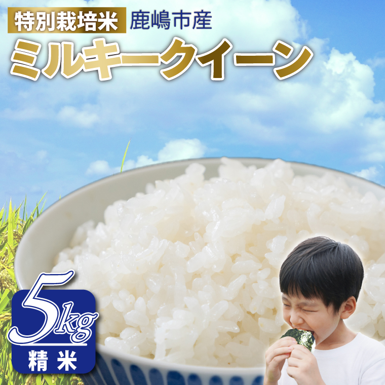 令和7年産 鹿嶋市産 ミルキークイーン（精米）5kg【ミルキークイーン 精米 米 お米 良食味米 茨城県 鹿嶋市 15000円以内】（KAK-6）