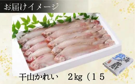 干物 甘干し山かれい2kg（15枚入り）干物の本場 香住産 冷凍 08-06