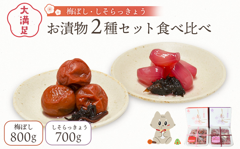 大満足　お漬物２種セット　梅ぼし　しそらっきょう　食べ比べ【62001AA0101】