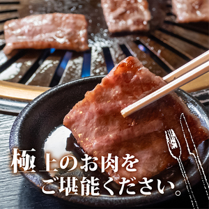 土佐 黒毛 和牛 焼肉用 500g | 特撰 リブロース ロース 最上位等級 A4 A5 最高ランク 贅沢 焼き肉 やきにく 小分け 冷凍 国産 ブランド 和牛 牛肉 大人気 ギフト リピート リピー