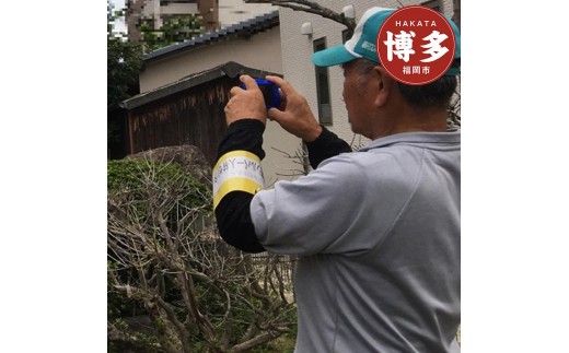 
                  【福岡市】空き家等見守りサービス | 納税 返礼品 福岡 福岡県 福岡市 福岡県福岡市 空き家 見守り 警備 空き巣 対策 サービス お礼の品 ふるさと 納税
                
