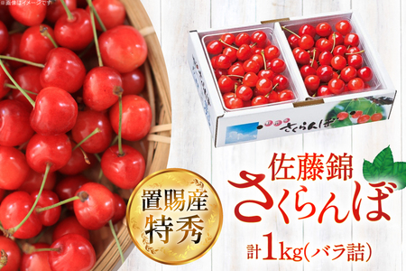 【期間限定発送】 さくらんぼ 置賜産 佐藤錦 特秀 L～2L バラ詰 1kg [JA山形おきたま 山形県 高畠町 tk06ays870047]