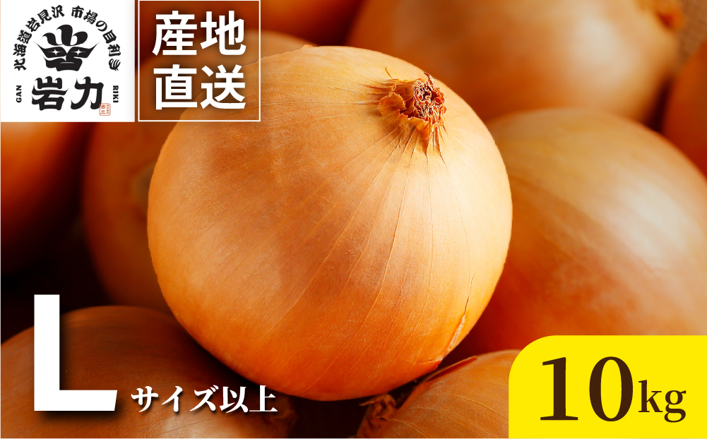 北海道岩見沢産たまねぎ 10kg (市場の目利き・岩力ブランド) | 玉ねぎ タマネギ 玉葱 オニオン 野菜【a142-006】 10kg