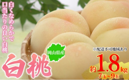 
            [№5615-0686]桃 2026年先行予約 岡山県産 白桃 約1.8kg 7～9玉 お届け 7月上旬～7月下旬
          
