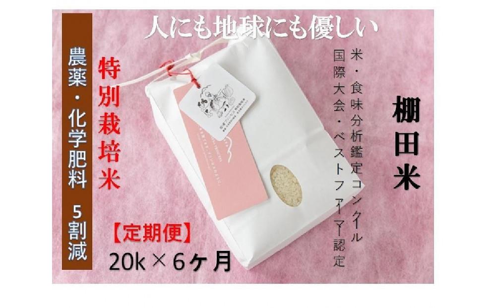 【令和8年産先行予約】【6ヶ月定期便】【農薬化学肥料5割減】魚沼コシヒカリ 苗場プリンセス 特別栽培米 精米 20kg(5kg×4袋)×6回 計120kg 127523-036