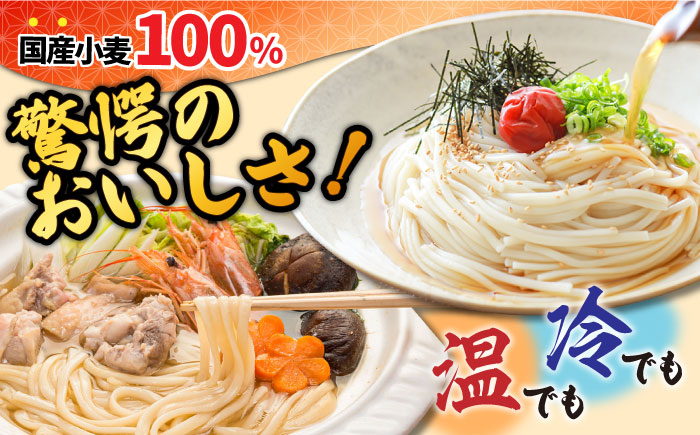 島原 手延べうどん 山道うどん 国産小麦100％ 160g×30袋 4.8kg / 麺 乾麺 うどん / 南島原市/ そうめんの山道 [SDC011]