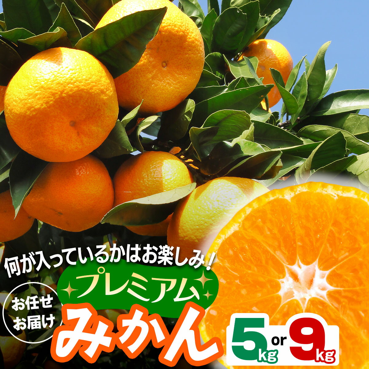 【ふるさと納税】[2026年1月下旬頃から発送] プレミアムみかん 5kg／9kg 品種おまかせ｜先行予約 みかん フルーツ 果物 柑橘 [0531-0533]