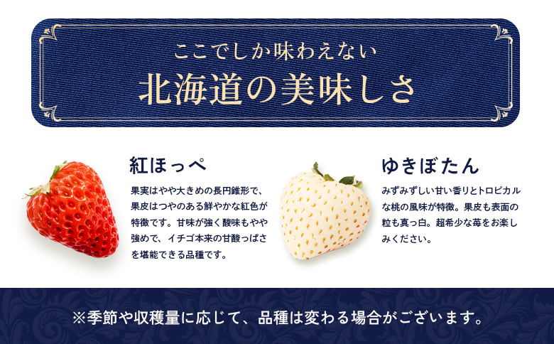 【北海道産】ゆきいちご（ゆきぼたん/紅ほっぺ）赤白ＭＩＸ×２Ｐセット 250g×2 計【59003】