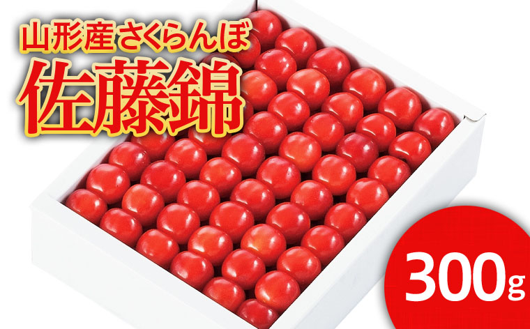 
            ★温室栽培★山形市産 さくらんぼ 「佐藤錦」 L以上 300g 化粧手詰め 【令和7年産先行予約】FU21-068 くだもの 果物 フルーツ 山形 山形県 山形市 2025年産
          