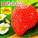 【ふるさと納税】福岡県産 あまおう 約270g×4パック 合計約1kg いちご イチゴ 苺 フルーツ 果物 九州 冷蔵 送料無料 予約 【2025年2月上旬～4月下旬に順次発送予定】