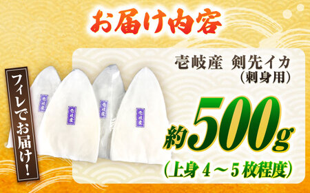 剣先イカ 刺身用 500g [JCC024] イカ刺し