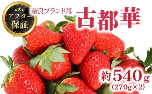 いちご 古都華 約540g 270g×2パック 2026年1月発送 冷蔵 小分け 果物 スイーツ デザート フルーツ ベリー ふるさと納税いちご 大粒 採れたて 完熟 おやつ 産地直送 先行予約 数量限定 季節限定 ブランド 苺 イチゴ いちご 岩井農園 奈良県 奈良市