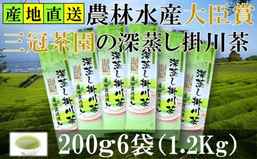 全国初の快挙!日本三大品評会 農林水産大臣賞受賞 三冠茶園 深蒸し掛川茶 200g×6袋【1302629】