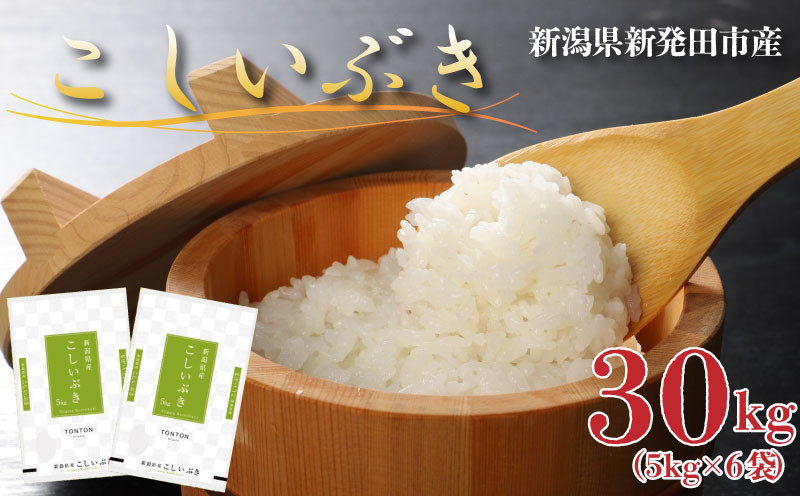 
令和6年産 新潟県産 こしいぶき 30kg （5kg×6袋） 新潟県 新潟産 新潟米 新発田産 新発田 お米 米 kome 白米 ご飯 こめ ごはん ライス ふるさと納税米 お弁当 食品 こしいぶき せいだ とんとん市場 お取り寄せ 贈答 人気 贈り物 ブランド米 人気米 数量限定 玄米 seida001
