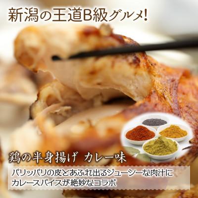 ふるさと納税 南魚沼市 鶏の半身揚げ カレー味　2パック冷凍 コメトハナ 新潟県 南魚沼市 |  | 01