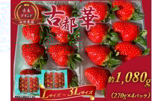 古都華 L～3Lサイズ 270g×4パック ／ 西田農園 ブランド いちご 苺 ことか フルーツ 果物 奈良県 葛城市【nsdf004】