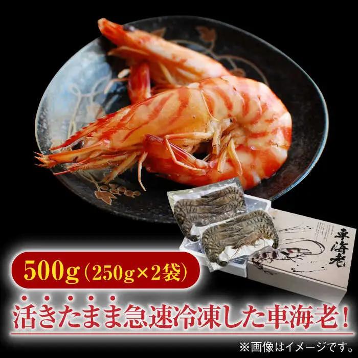 車海老 計500g（250g×2袋） / 佐賀県 / 株式会社拓水 伊万里クルマエビセンター [41AEAJ007]