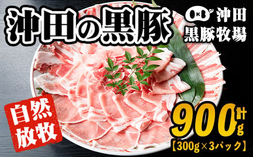 
A3-01 鹿児島県産！幻の黒・沖田の黒豚(計900g・ロース、肩ロース、バラ、モモ、ウデいずれか3パック) 自然放牧・自家製飼料で大切に育てられた黒豚肉【沖田黒豚牧場】
